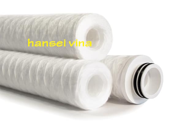 Quả lọc sợi